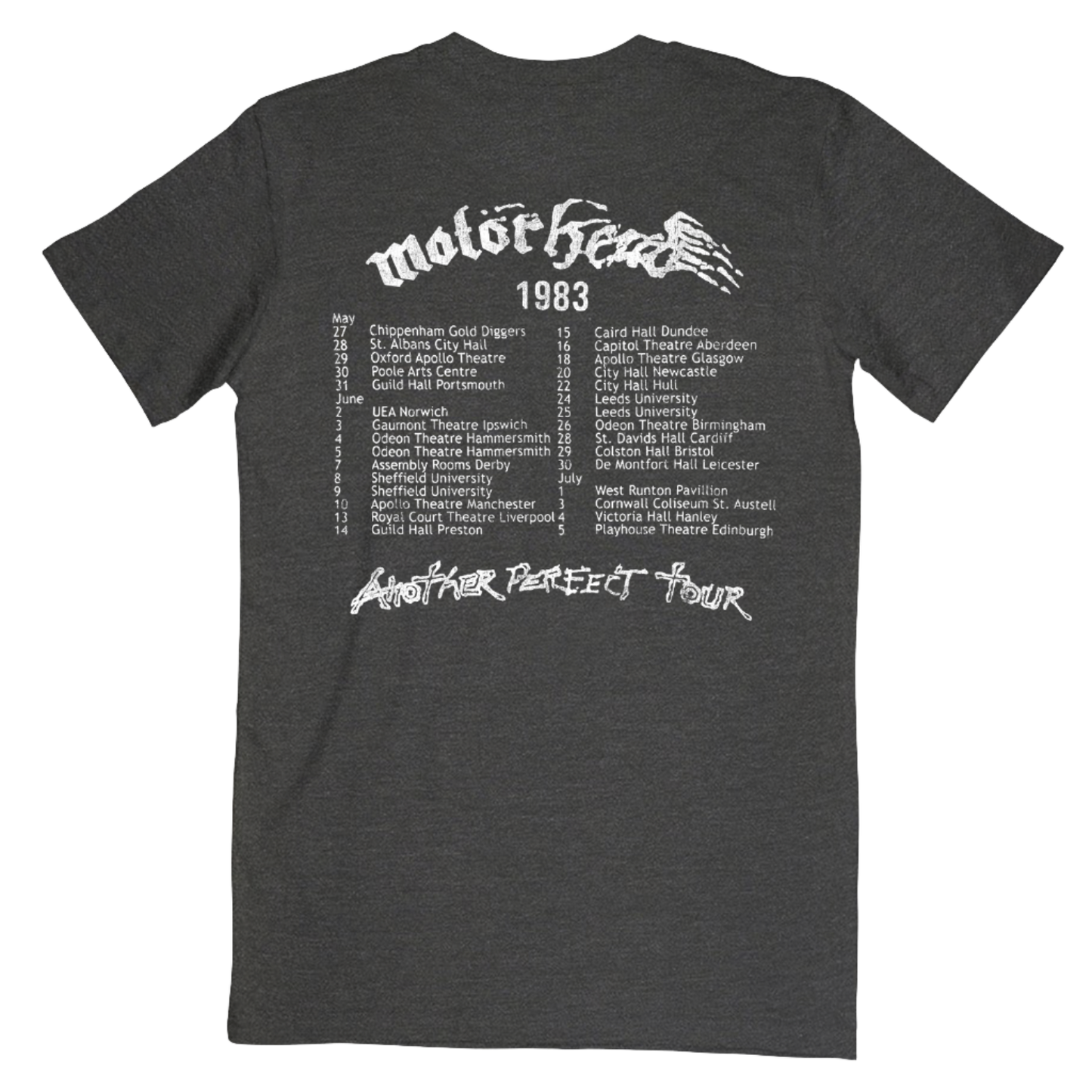 Another Perfect Day 1983 Tour Tee